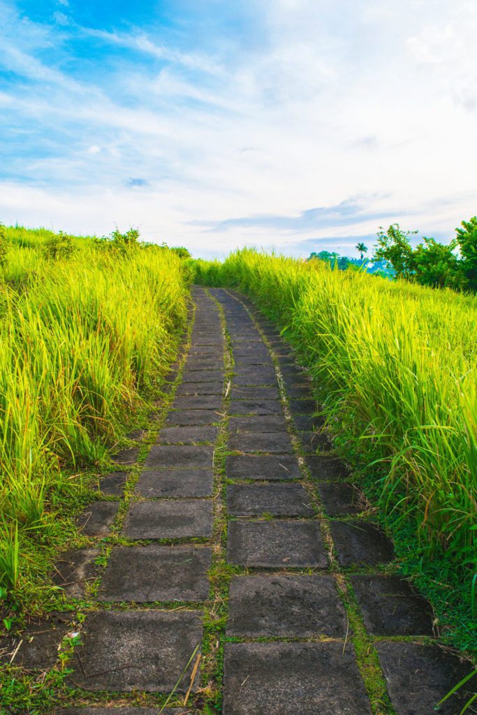 Campuhan Ridge