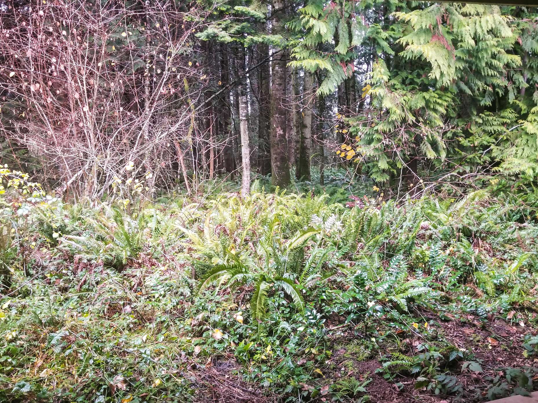 Vipassana MeditatiVipassana Meditation Reviewon