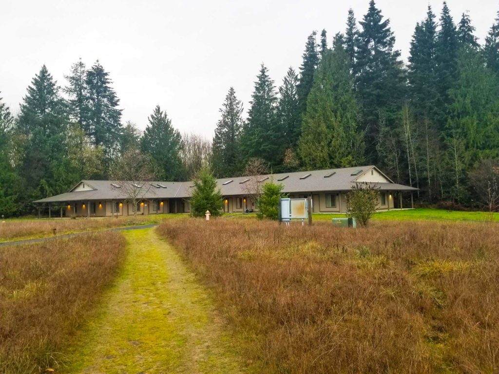 Vipassana Meditation Review